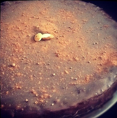 Setembrino torta brownie com cobertura de brigadeiro gourmet Setembrino adoça boquitas refinadas com o requinte de quem sabe 