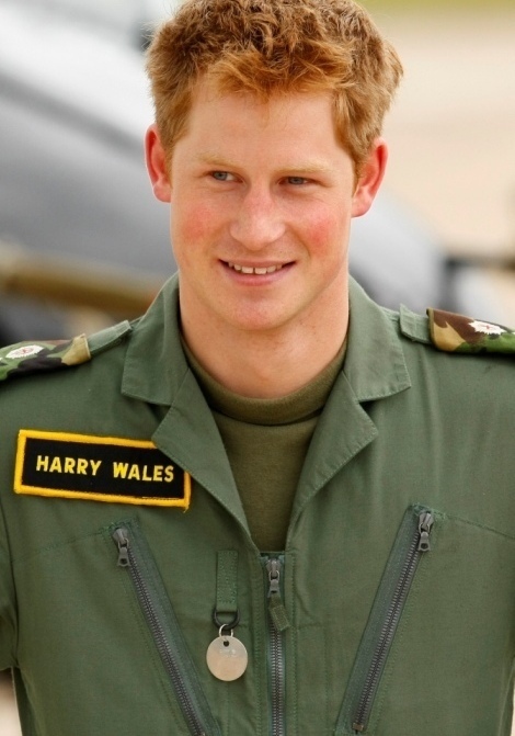 principe harry 59eb Gato Harry, irmão do príncipe William, vem miar no Brasil!