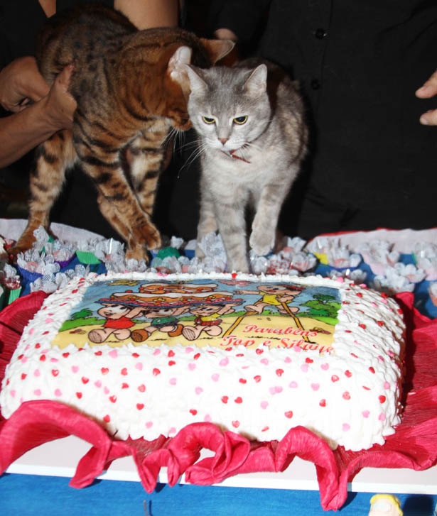 IMG 7217 Carmen, A Única, reúne as tias para chá de aniversário de seus gatos