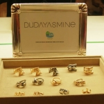 thumbs biancam 3158 Apoiando a RioInclui